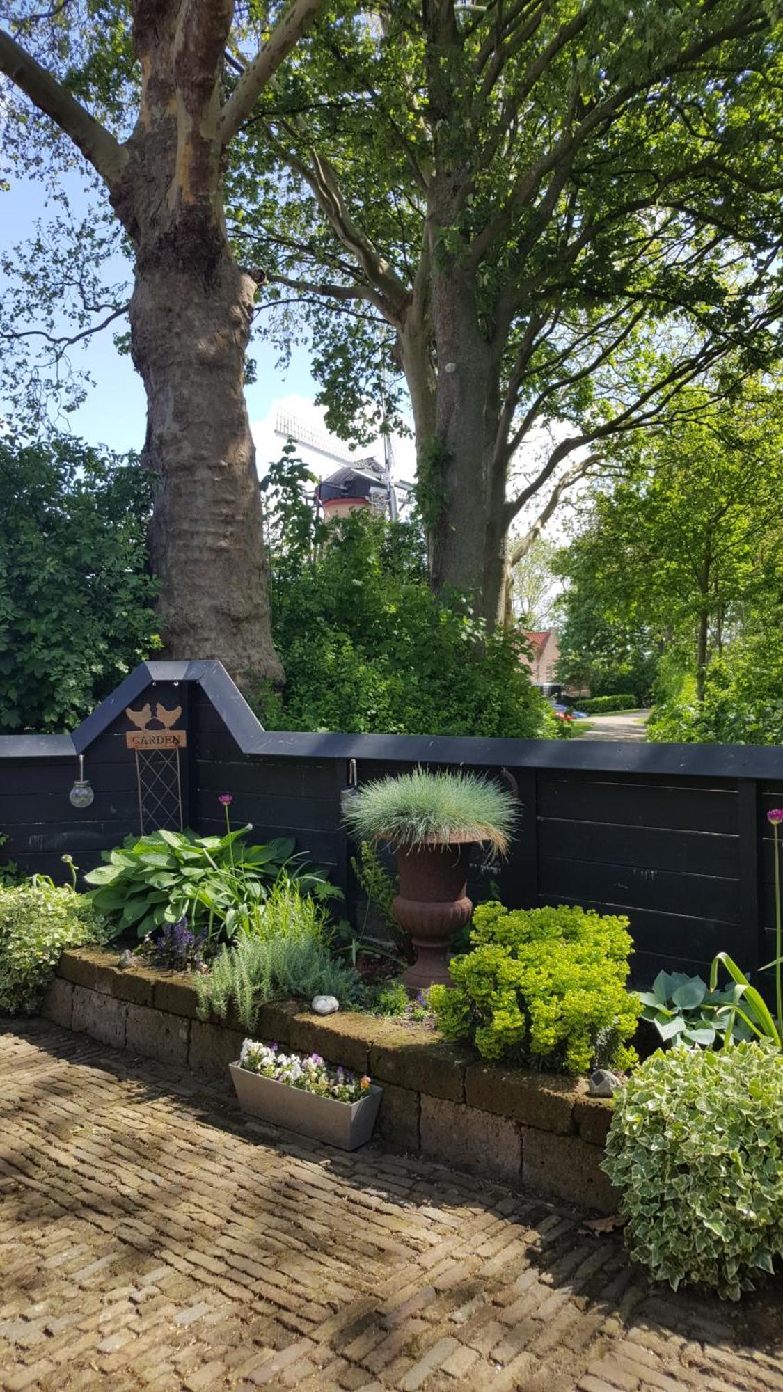 Tiny House Tholen Villa Luaran gambar